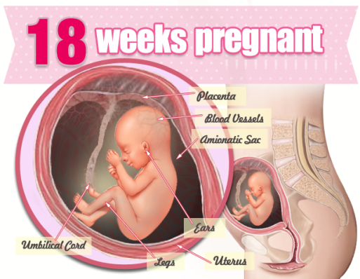 Ce se întâmplă în a18a săptămână de sarcină